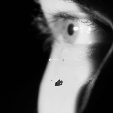 The Most Dangerous Person Is Broken and Alone