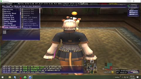Playing Final Fantasy XI Online