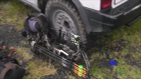 Bow hunting sika deer