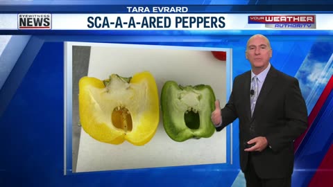 October 14, 2025 - WEHT's Ron Rhodes with Funky Fruit (Scared Peppers)