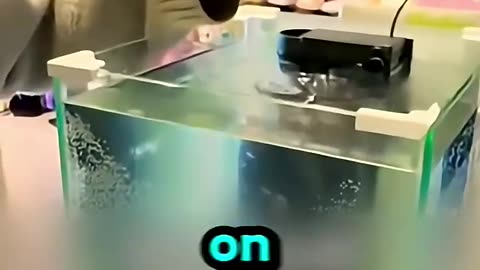 Balancing a Coin on Water… Impossible?