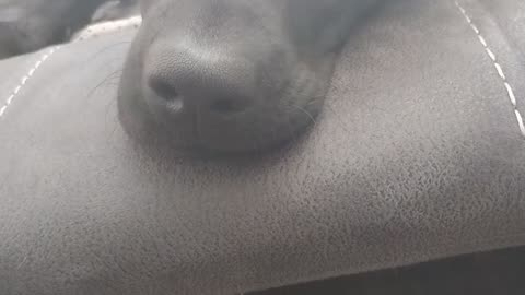 Mouse ear mode=Activated