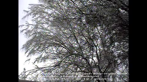 نسلی که بر روی دوستانش کلیک میکند