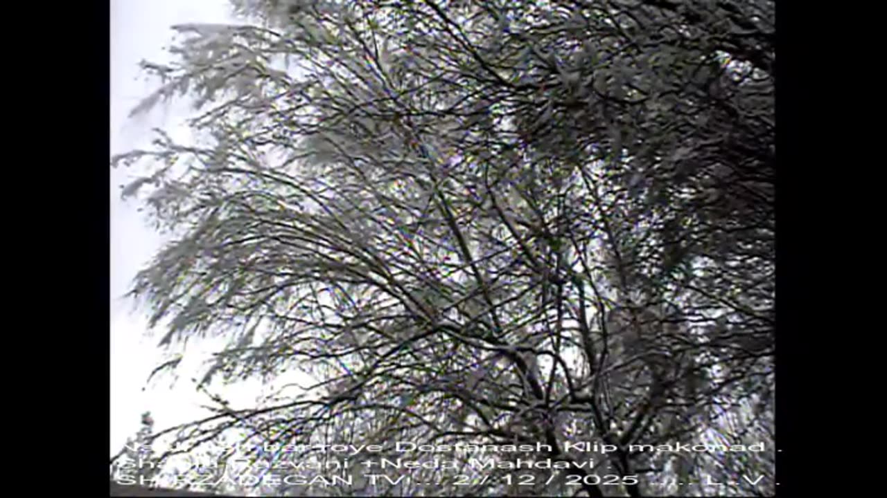 نسلی که بر روی دوستانش کلیک میکند