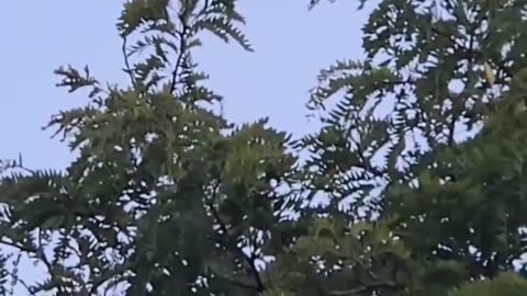 🛸😱 Unbelievable UFO Sighting Over London, Ontario! | TheTruthAbove