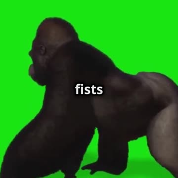 Tiger vs Gorilla vs Crocodile