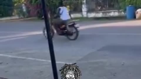 why did the chicken cross the road