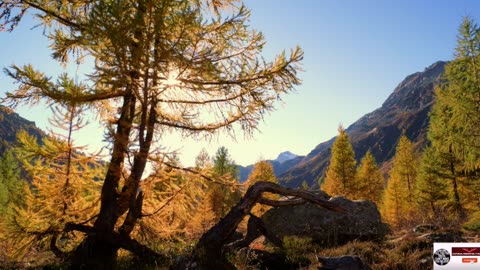 Morning prayer start your day with God