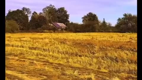 Donald Scares away lions in kenya
