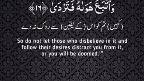 Beshak 💯♥️✨🕊️