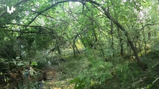 Ukrainians Outflank Russian Soldiers During Intense Ambush