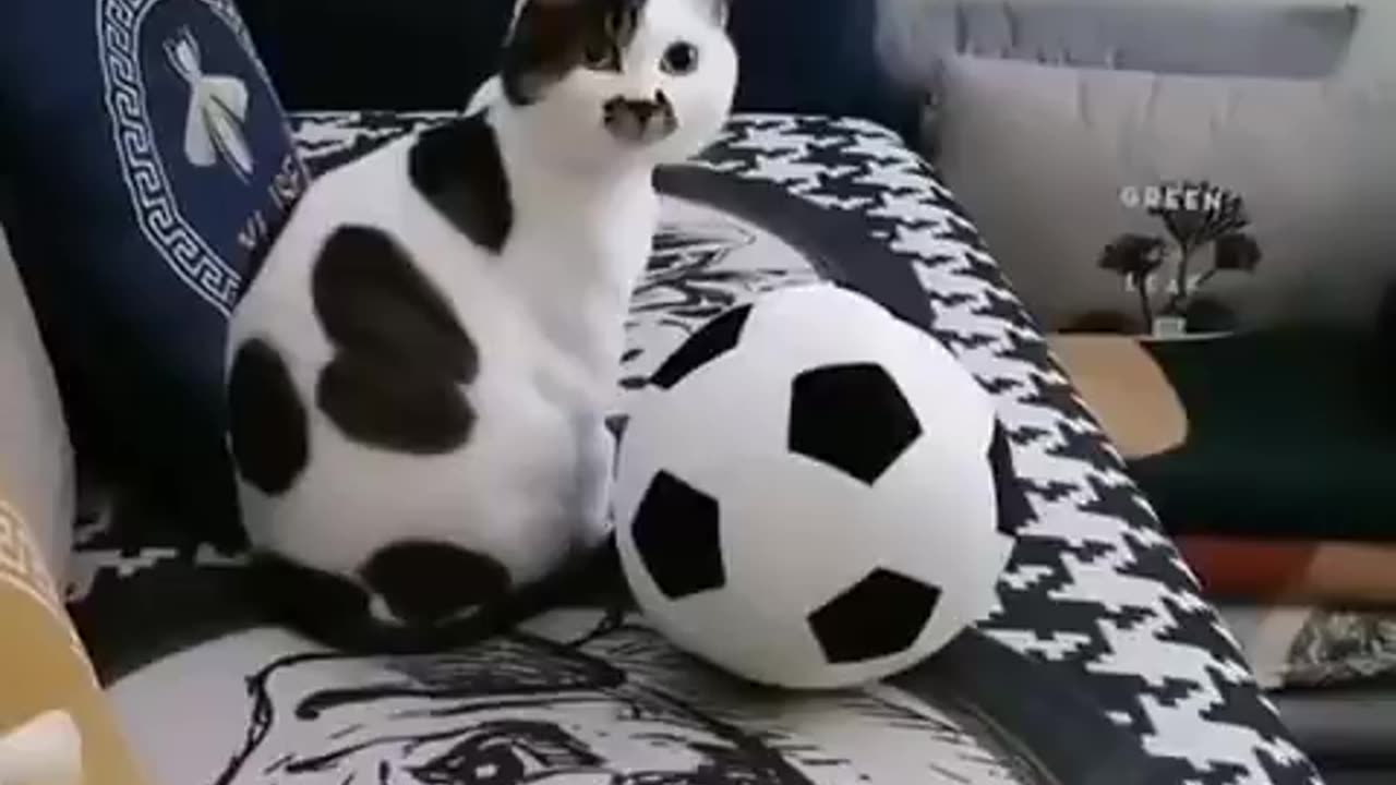 ⚽