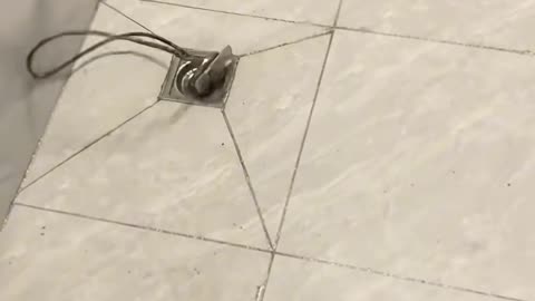 🤔🚨 Who Is There? | LifeHacksDaily