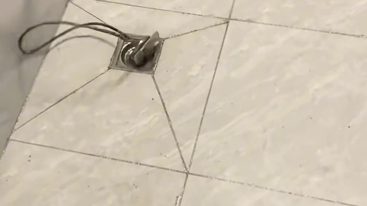 🤔🚨 Who Is There? | LifeHacksDaily