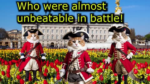 When a CAT Father teaches his Kitten about the English Empire (Ep.86)