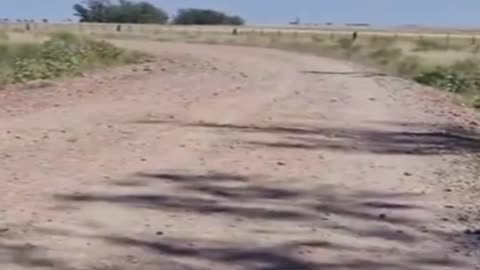 Caminar solo, no es lo mismo que estar solo