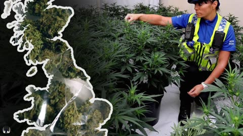 Will The UK Ever Legalize Weed?. 👁 💡