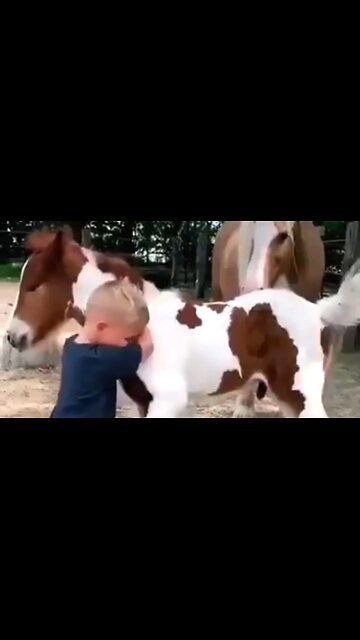 HOW TO FOSTER TRUE FRIENDSHIPS - DAILY DEVOTIONAL ❤️