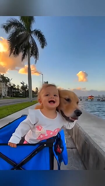 Funny Stories About Babies And Dogs❤️🥰
