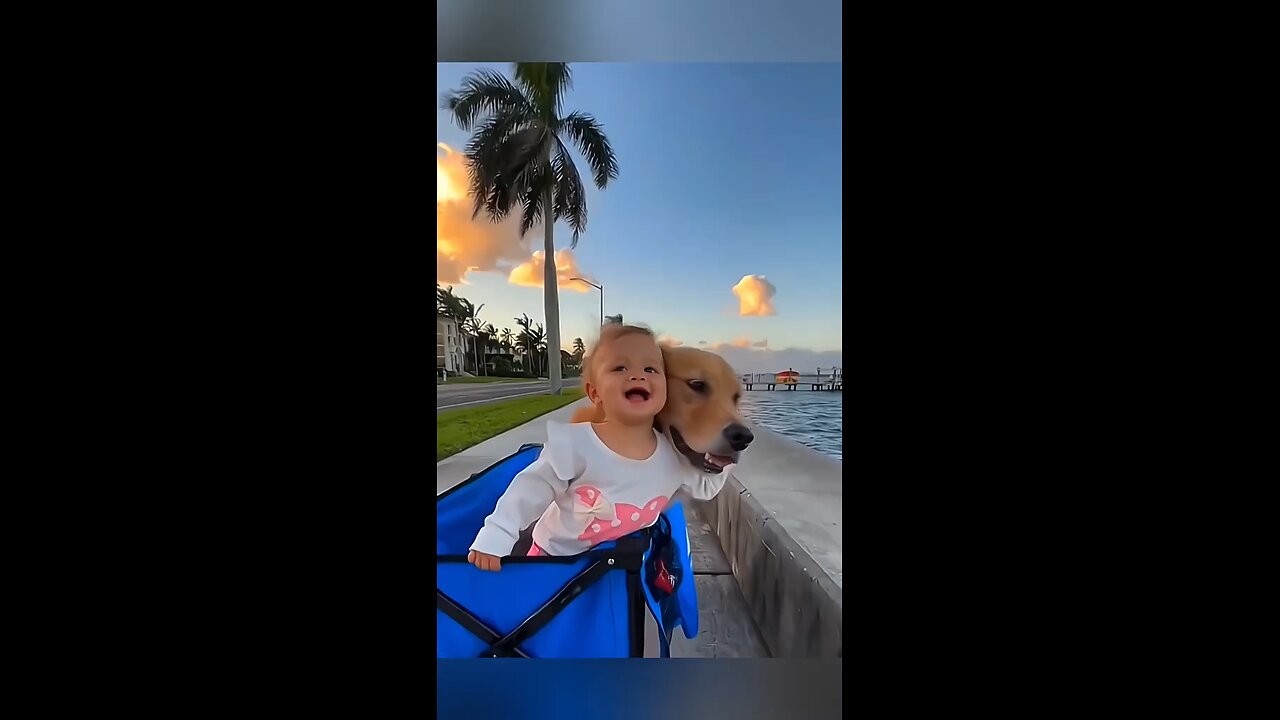 Funny Stories About Babies And Dogs❤️🥰