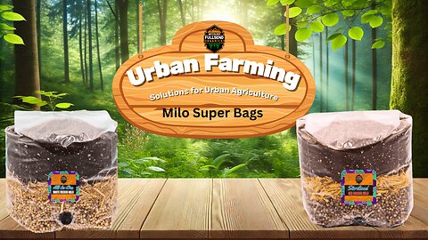 Closed loop gardening with mushroom super bags - Red Rockin Milo