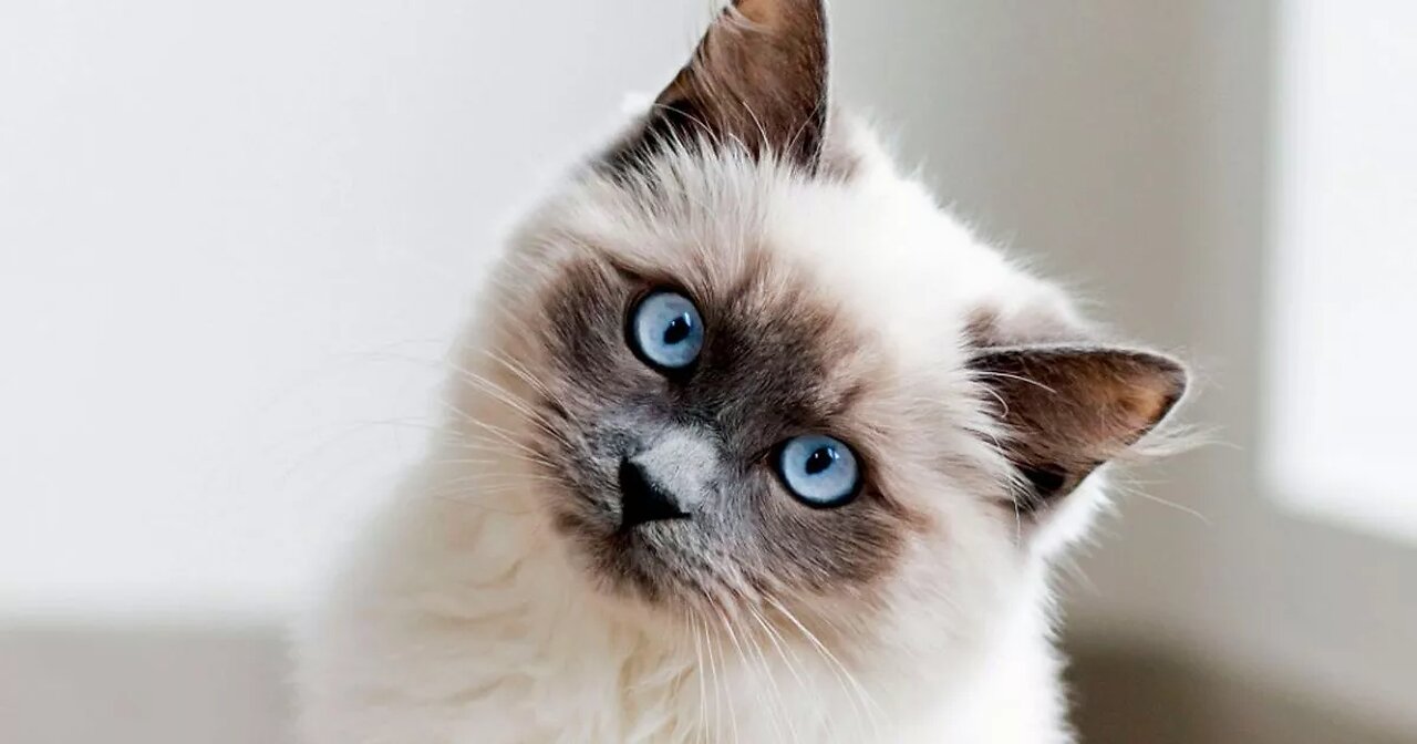 FAA CANCELS THOUSANDS OF FLIGHTS AS SATAN PLAYS THE ALIEN CRD