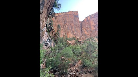 The Drive to Zion Ntl. Park🤩