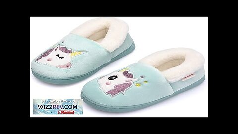 Ainikas Toddler Boys Girls Slippers Fluffy Little Kids House Slippers Warm Fur Review