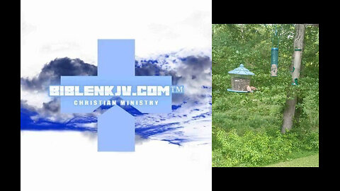 BIBLENKJV.COM™ 🛐 THE HAUNTED BIRD FEEDER? #COMEDY