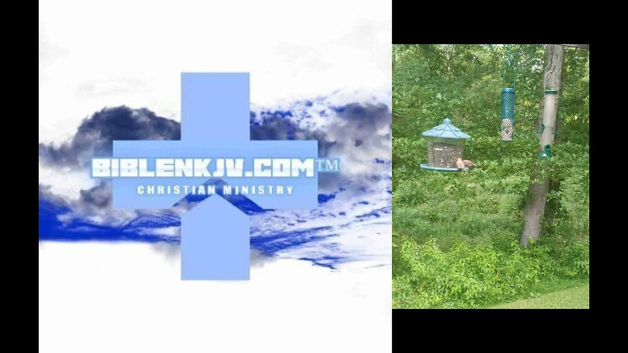 BIBLENKJV.COM™ 🛐 THE HAUNTED BIRD FEEDER? #COMEDY