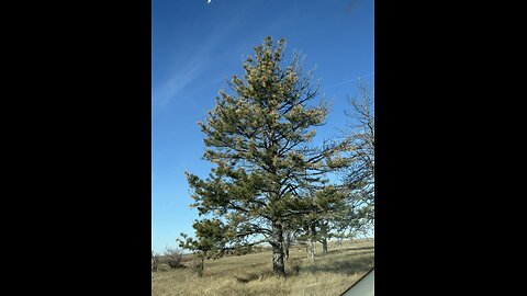 Farm chemicals destroy organic farm