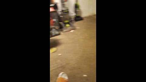 zommies