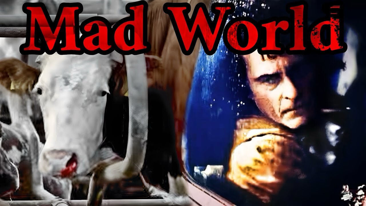 It’s A Mad World For Animals