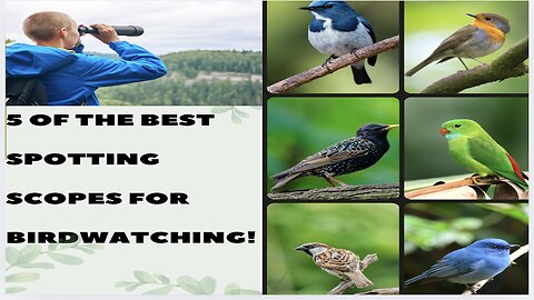 5 of the BEST Spotting Scopes for Bird Lovers