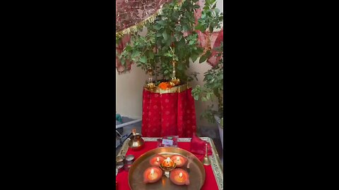 तुलसी विवाह पूजा 2025 🙏😊🌹@itsdheerendrag 🙏💥 #bhaktiwithitsdheerendrag #viral