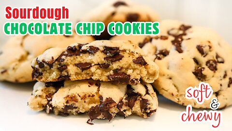 The GREATEST Sourdough Chocolate Chip Cookies Ever!