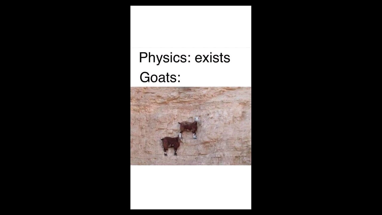 “When Life Gives You Funny Mood | Ultimate Meme Shorts”