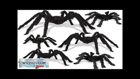 Halloween Spider Decorations 6 Pack Giant Spider Outdoor Decorations for Halloween Scary Review