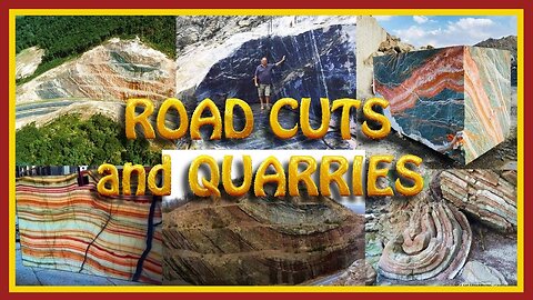 ULTERIORI PROVE SUI GRANDI ALBERI