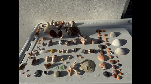 Beach Finds 12/8/2025 | 4K