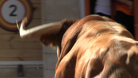 2025 08 31 - 09 05 BURRIANA MISERICORDIA