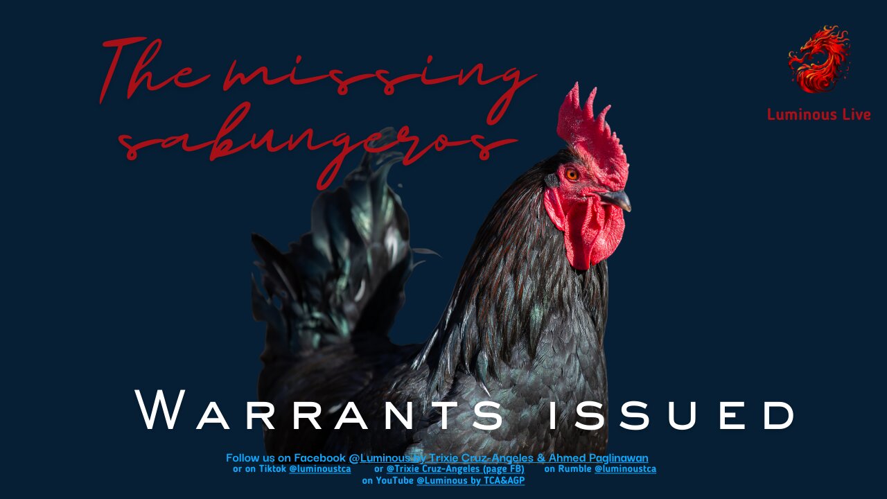 The missing sabungeros