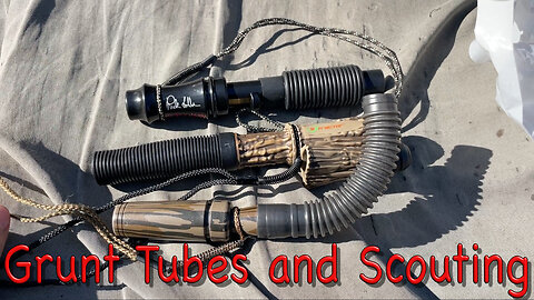 Grunt Tubes and Scouting