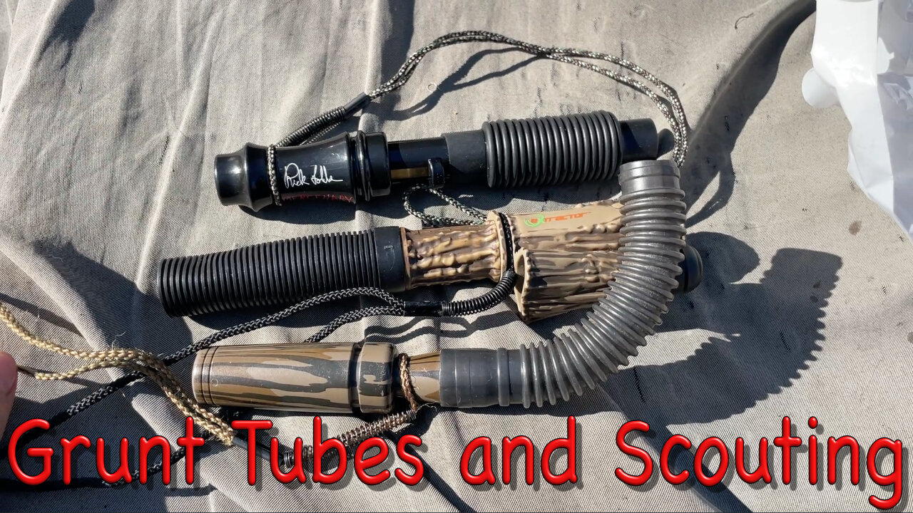Grunt Tubes and Scouting