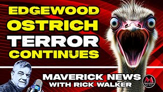 Ostrich Terror Continues - Edgewood Residents Break Silence with Ostrich Cull Horror Truth