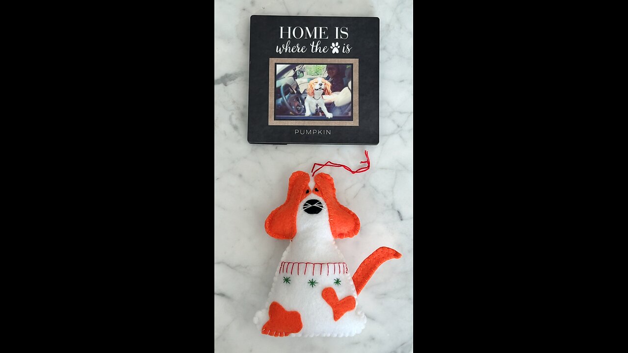 Memorial Pet Ornaments