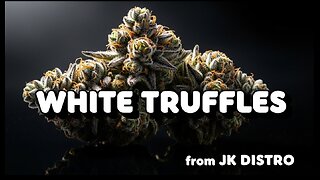 White Truffles from JK DISTRO #jkdistro