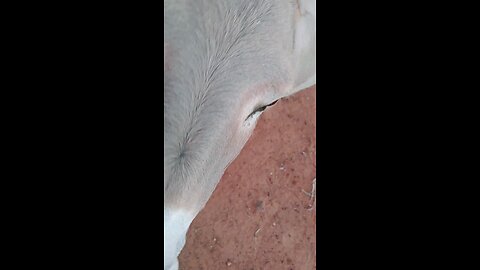 Test video