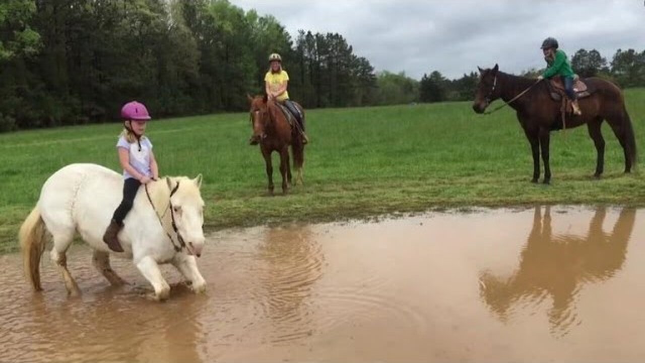 Pony Dunk: Little Girl Rider Gets Drenched in Mud - Hilarious Roll Around!