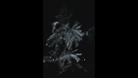 Hadees e nabvi (saw) #islam #viralvideos #islamicreminders #prophetmuhammadsaw #hadeesenabvi